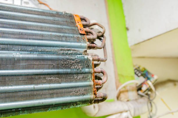 Frozen Coils